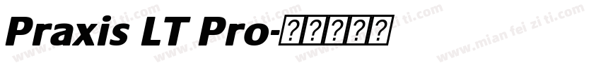Praxis LT Pro字体转换